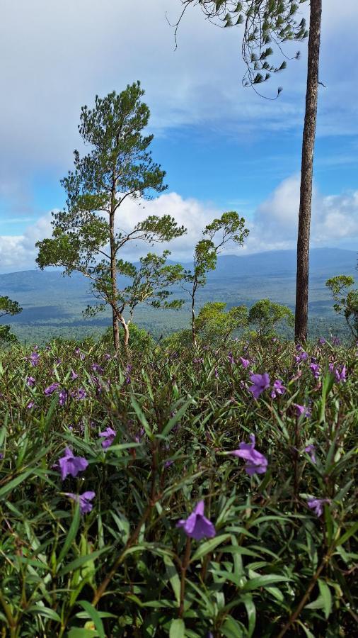 Romdoul Kirirom Resort By Ehm Kampong Speu Dış mekan fotoğraf