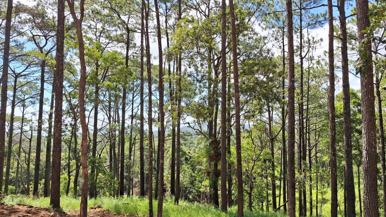 Romdoul Kirirom Resort By Ehm Kampong Speu Dış mekan fotoğraf